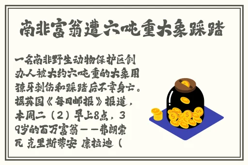 久久精品国产88久久综合